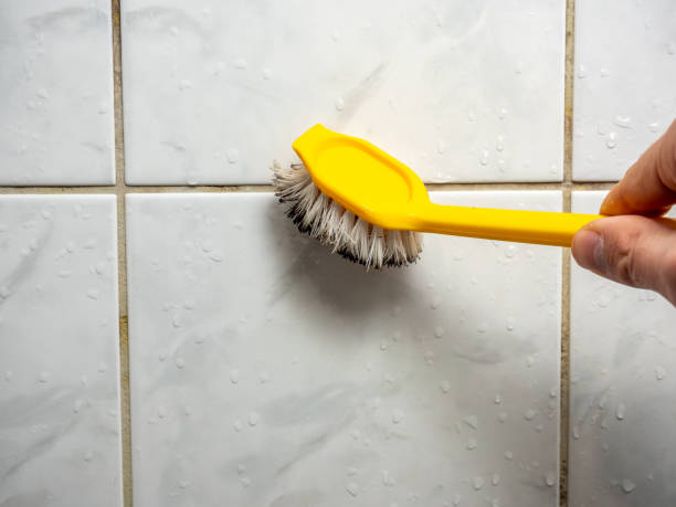 Best Insurance-Related Mold Remediation in Chula Vista, CA